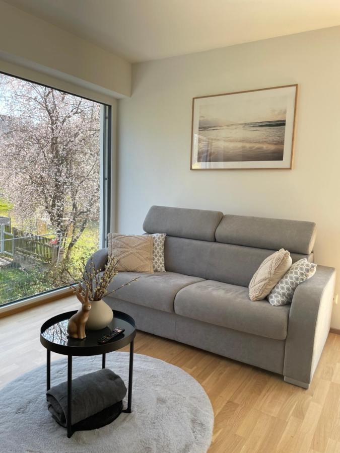 Luxury - Apartment Mit Balkon In Seenaehe Gmunden Exterior photo